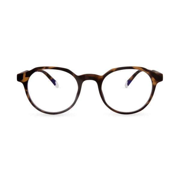 Barner Chamberi Glasses - Tortoise [AS] - نظارات بارنر شامبيري - لون السلحفاه