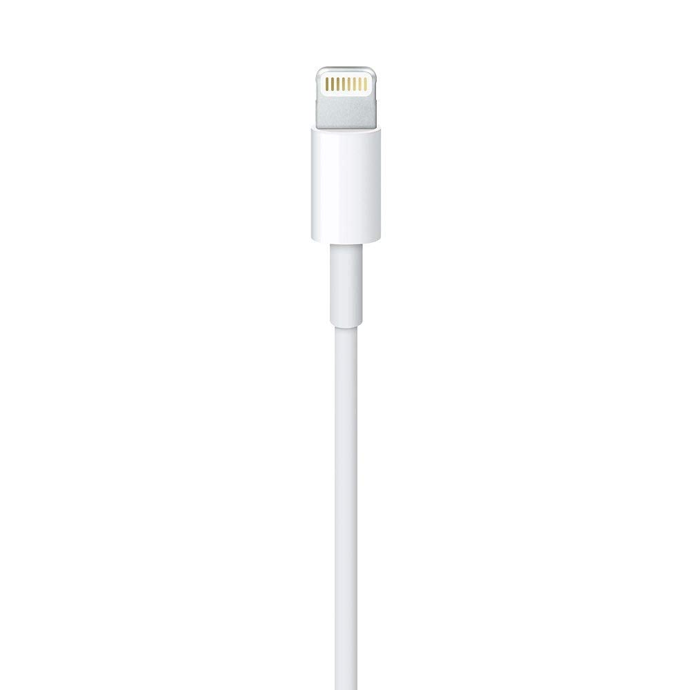 Apple Lightning to USB Cable (1M)