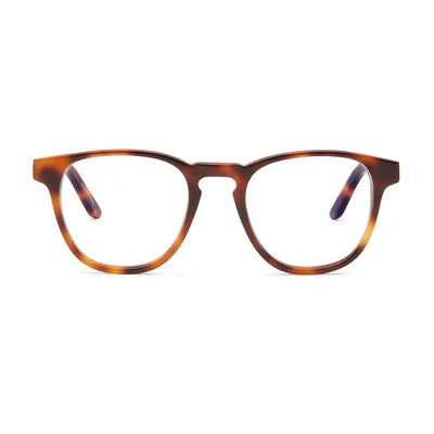 Barner Kreuzberg Glasses - Havana [AS] - نظارات بارنر كروزبرج - هافانا